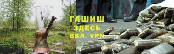 прущие грибы Краснотурьинск