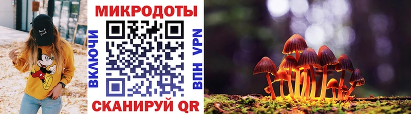 где найти наркотики Елабуга Псилоцибиновые грибы GOLDEN TEACHER