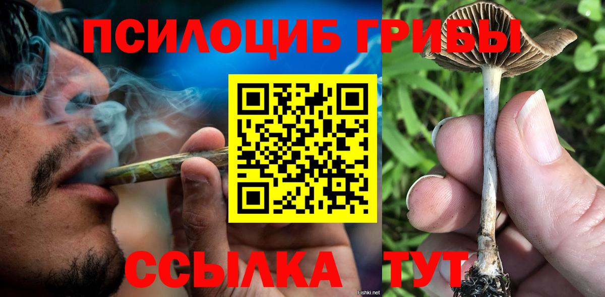 Галлюциногенные грибы GOLDEN TEACHER Елабуга