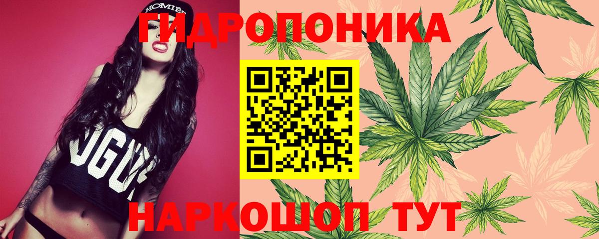 Шишки марихуана конопля Елабуга